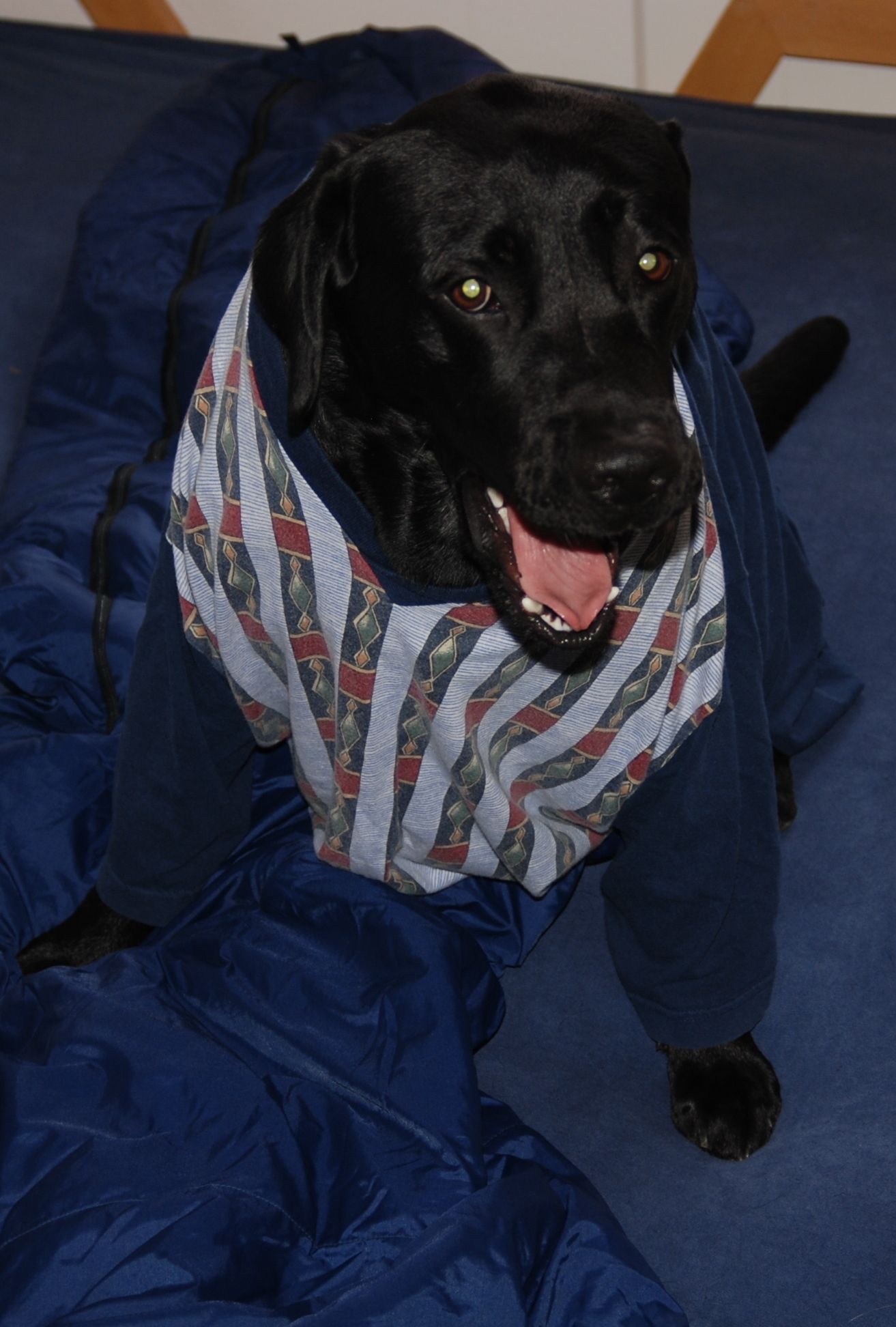 DSC_0556u.jpg
